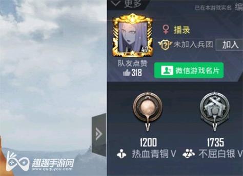 和平精英辅助：辅助软件的辩证视角与游戏公平